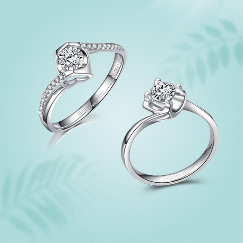 請?zhí)顚憳?biāo)題